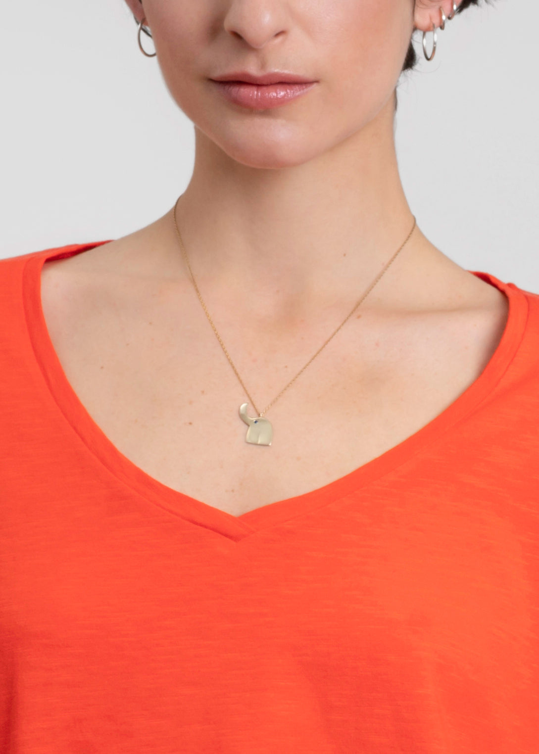 Esterella V Neck T-Shirt L/S Single Jersey TEST